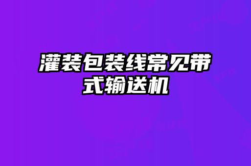 灌裝包裝線常見帶式輸送機