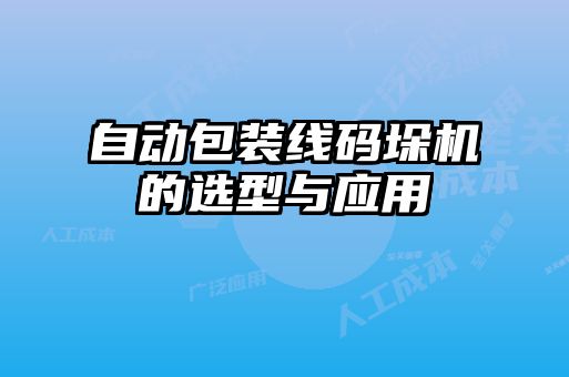 自動包裝線碼垛機(jī)的選型與應(yīng)用