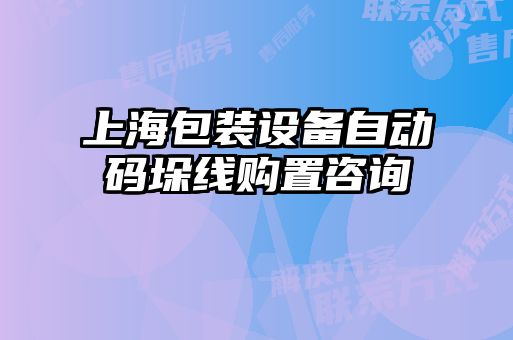 上海包裝設備自動碼垛線購置咨詢